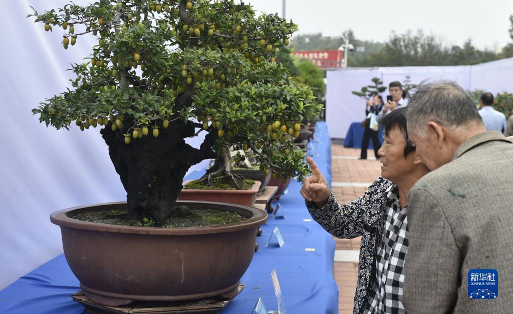 易发游戏官方网站2018